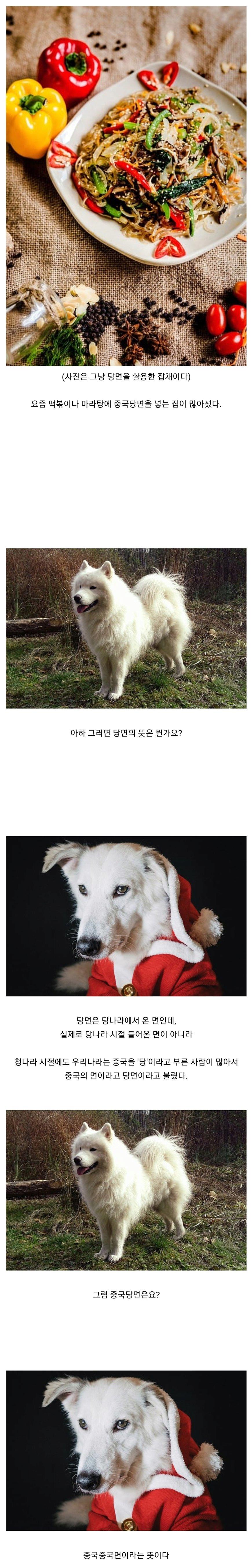 싱글벙글 중국 당면의 뜻.png.jpg