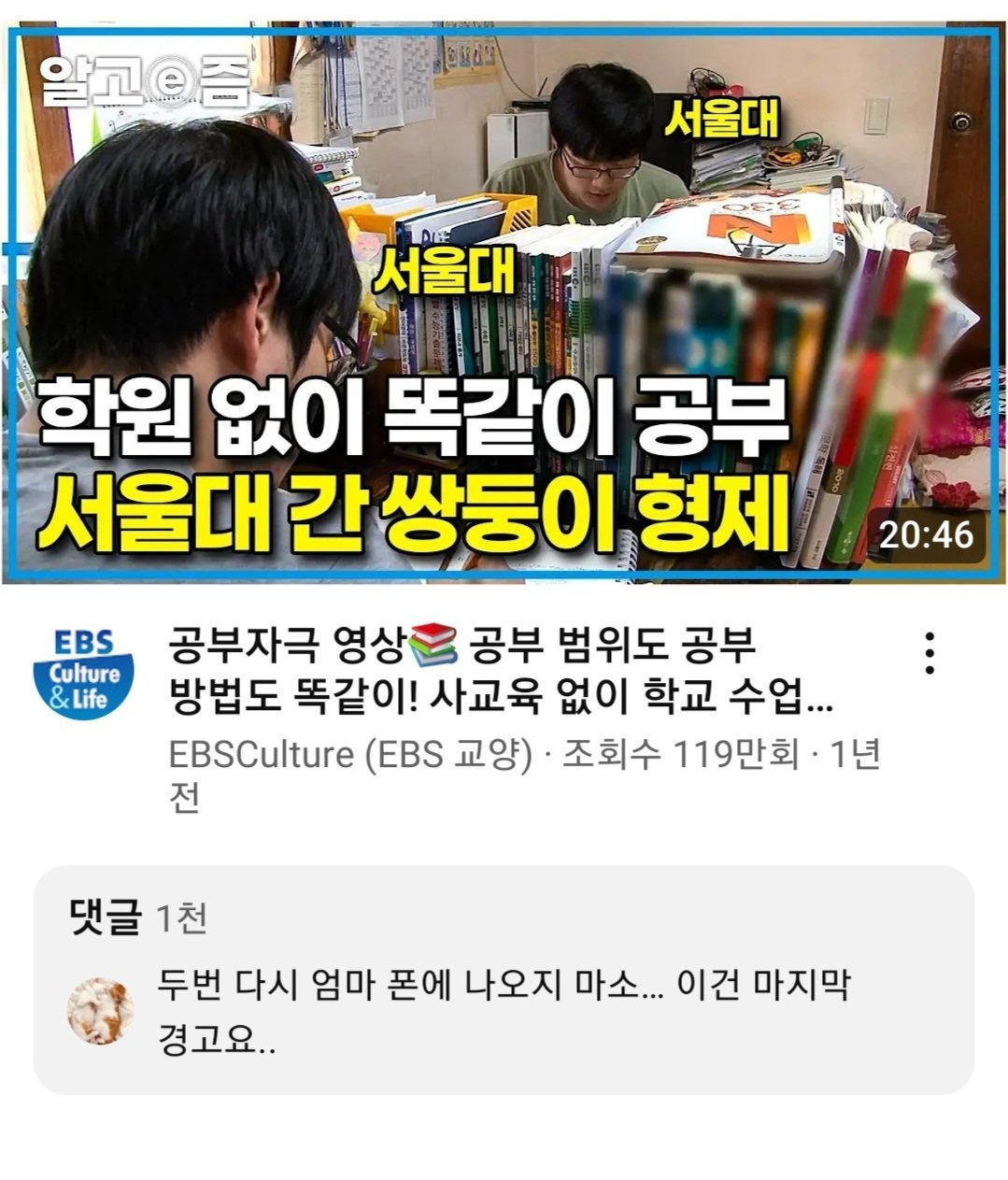 학원없이 서울대 간 쌍둥이 형제를 향한 경고.jpg