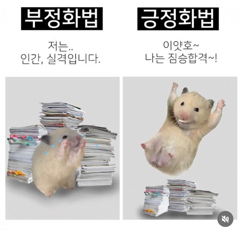 부정화법과 긍정화법 차이.jpg