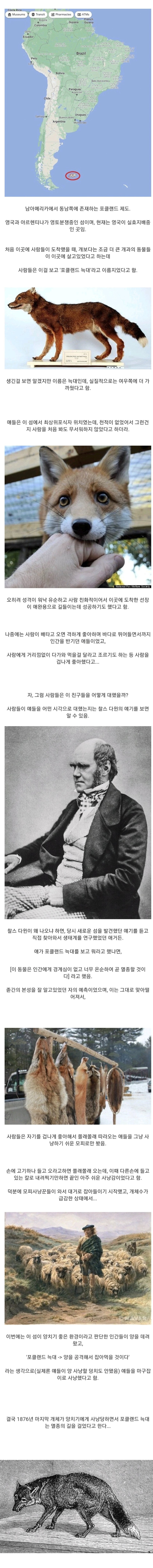 인간을 너무 좋아해서 멸종한 동물.jpg