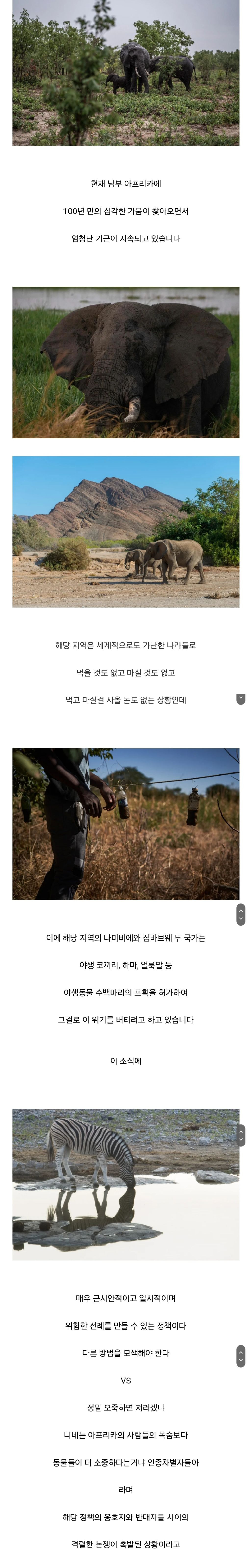 야생동물 대량 살육 허가로 난리 난 아프리카 근황.jpg