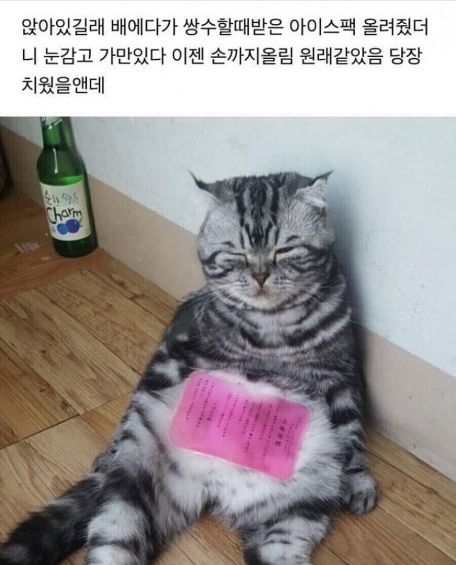 아이스팩.jpg