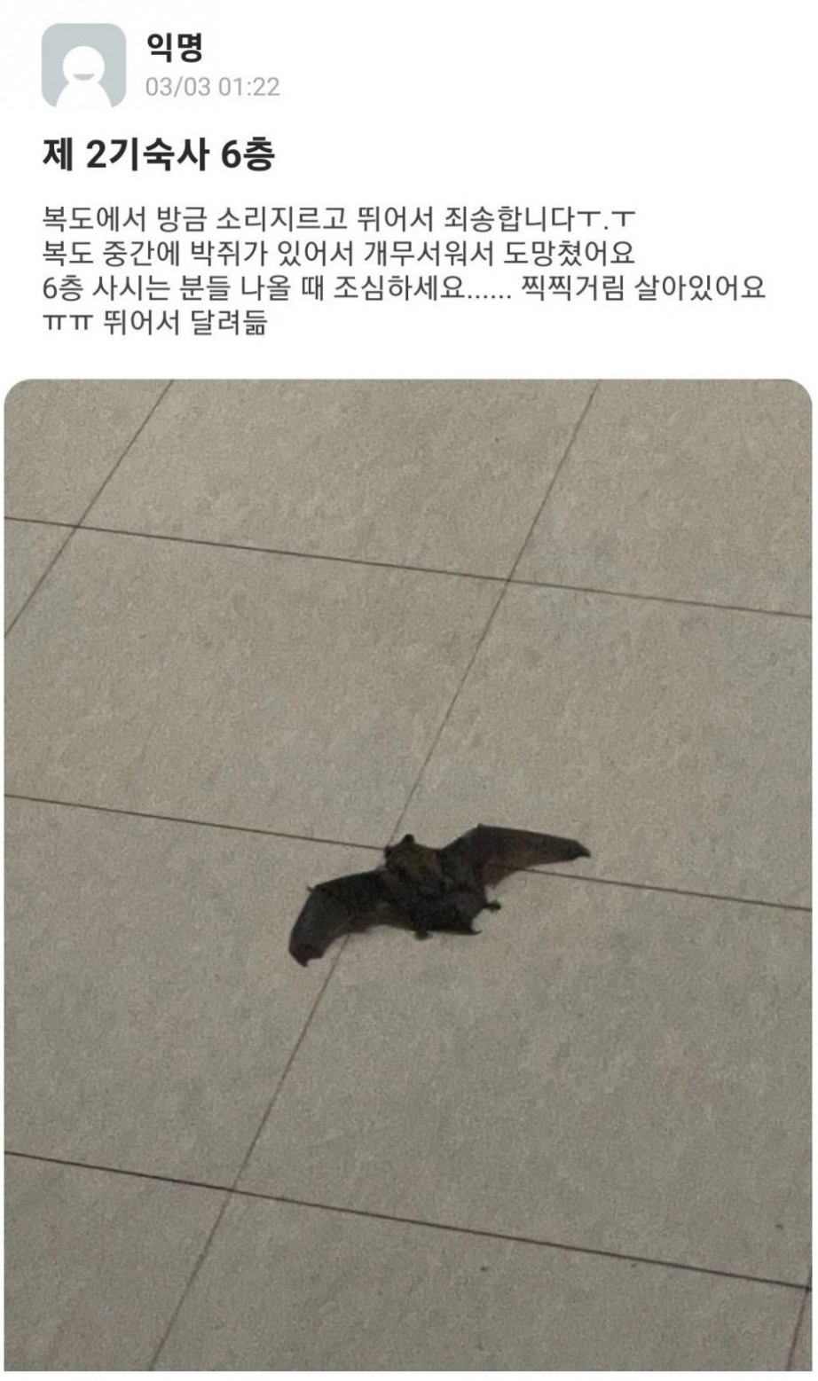 기숙사에서 박쥐나온 모 대학 - 꾸르