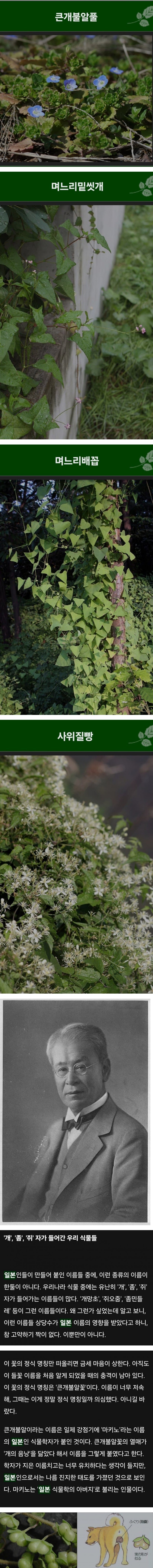 한국 식물들 중 천박한 이름이 많은 이유.jpg