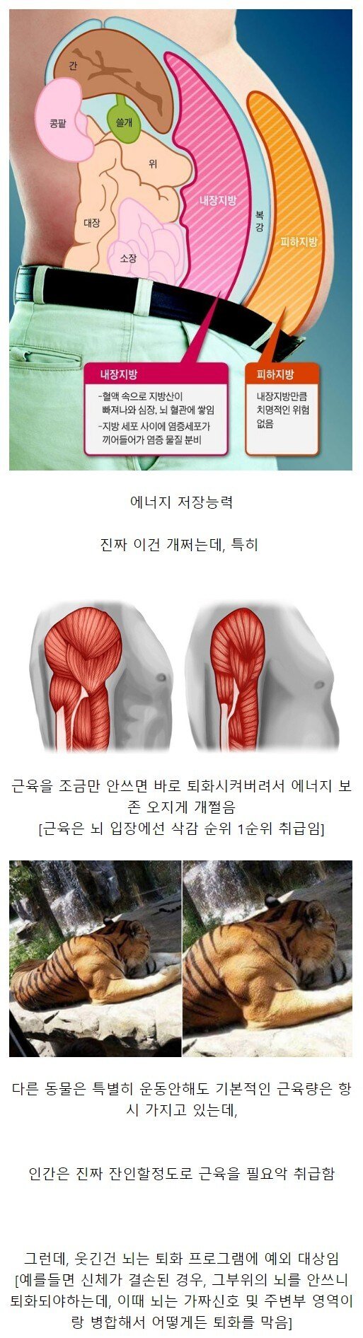 인간의 S급 능력 중 하나.jpg