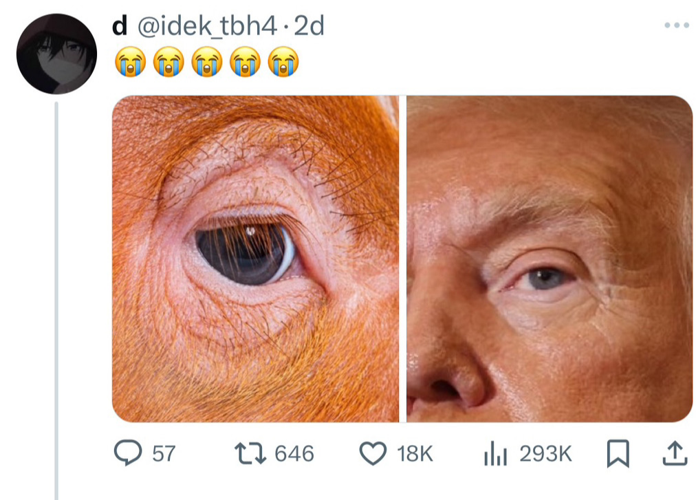 a91cf7bf826c4d3b32b480031df383f6.webp