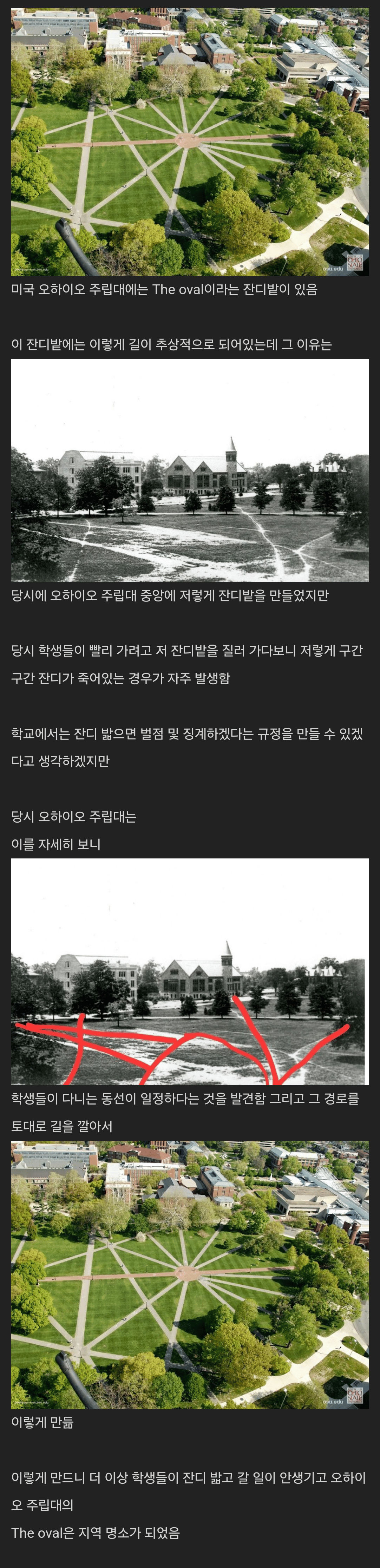 학생들이 잔디밭을 밟자 학교에서 취한 조치.jpg