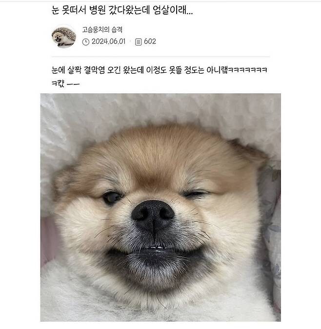 엄살1.jpg