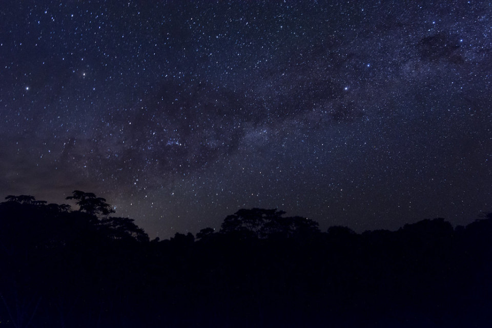 아마존의 밤 하늘.jpg