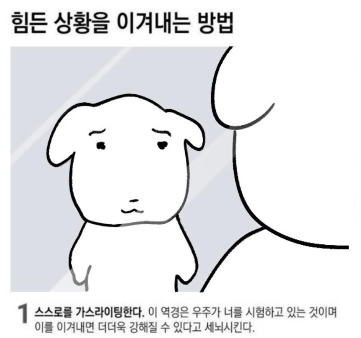 스크린샷 2024-07-30 오후 7.43.58.png.jpg