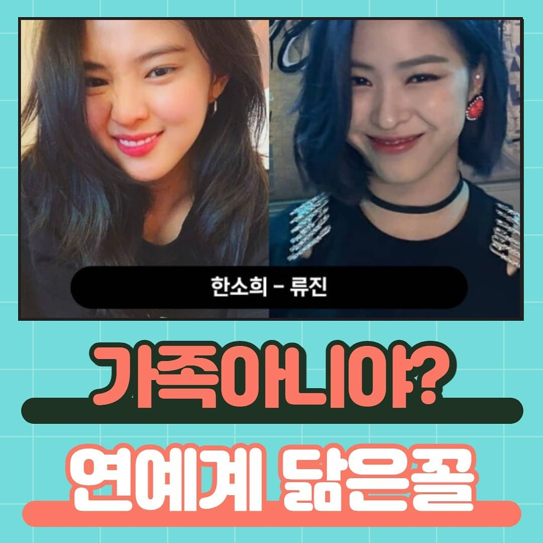 연예계 닮은꼴 - 방송/연예 - 꾸르