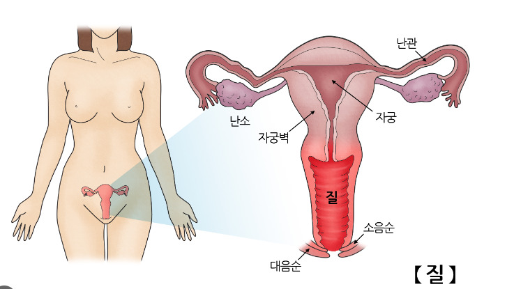 질의 크기는 어떻게 될까?