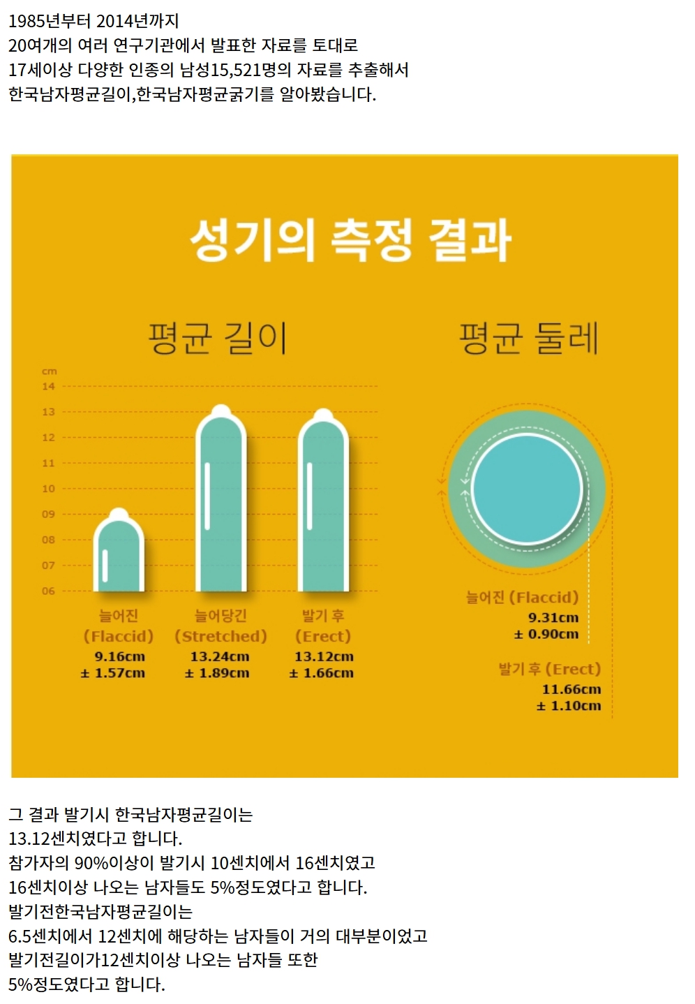 남자 거시기의 평균적인 크기는?