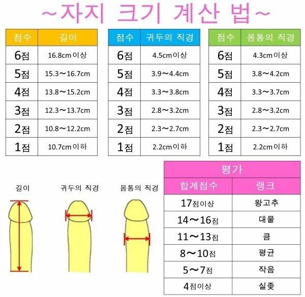 남자 거시기의 평균적인 크기는?