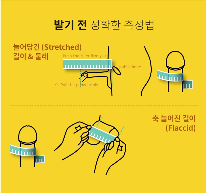 남자 거시기의 평균적인 크기는?